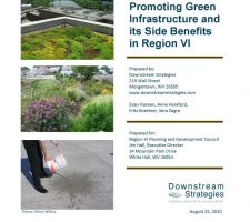 Plants Not Pipes: Promoting Green Infrastructure and its Side Benefits in Region VI (2010)