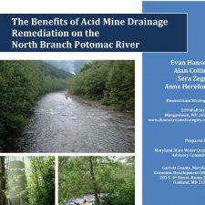 The Benefits of Acid Mine Drainage Remediation on the North Branch Potomac River (2010)