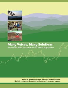 Many Voices, Many Solutions: Innovative Mine Reclamation in Central Appalachia (2018)