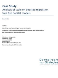 Case Study: Analysis of Scale on Boosted Regression Tree Fish Habitat Models (2013)