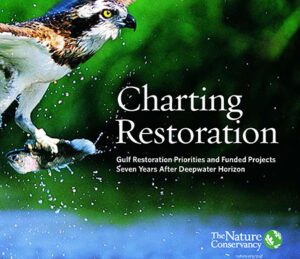 Charting Restoration: Seven Years after Deepwater Horizon (2018)